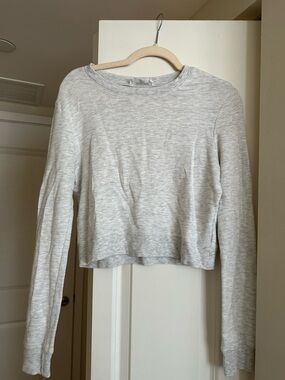 Double Zero Light Gray Cropped Long-Sleeve Crewneck Top